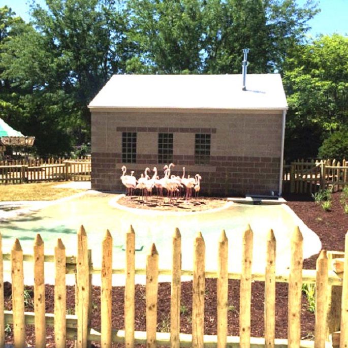 Miller-Park-Flamingo-Exhibit